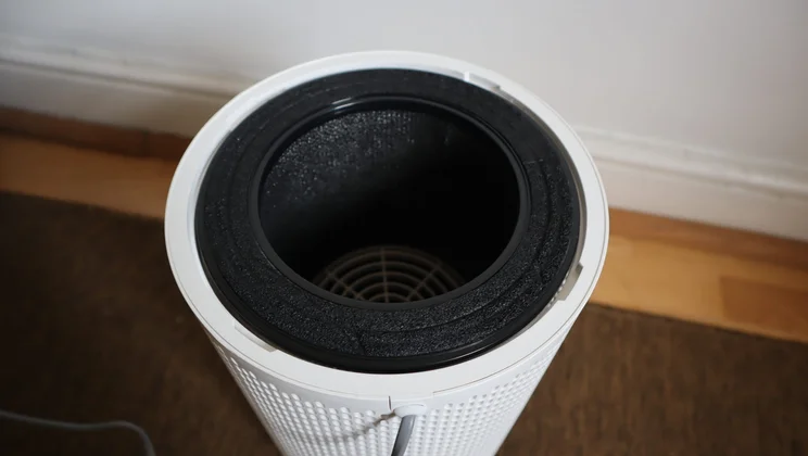 Coway Airmega 100 - close-up of filter innards