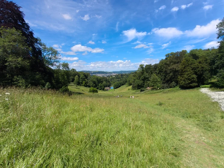 Wide-angle shot of a lush green landscape