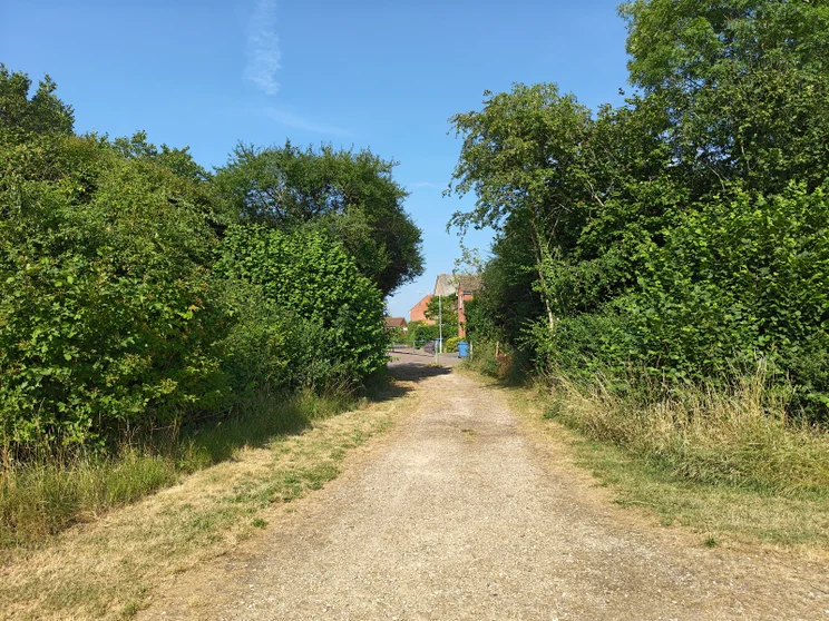 Path between two groups of trees