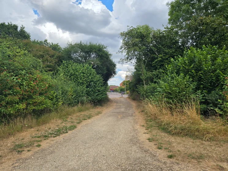A path between two groups of trees