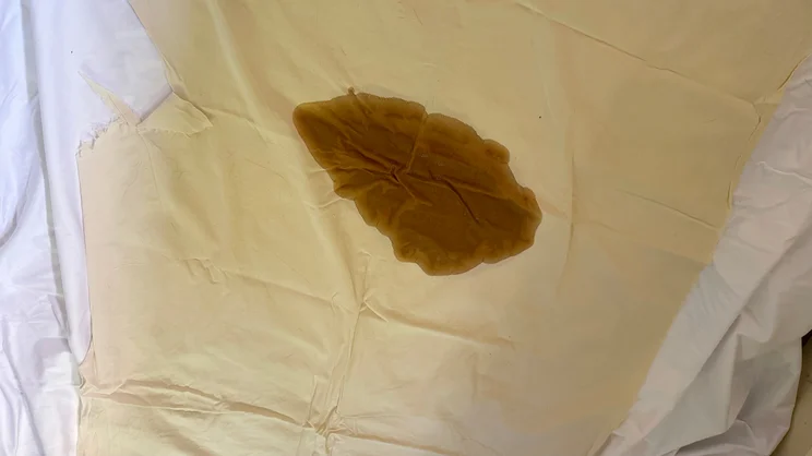 A large coffee stain on a bedsheet, underneath which is the Simba TripleShield Bamboo mattress protector