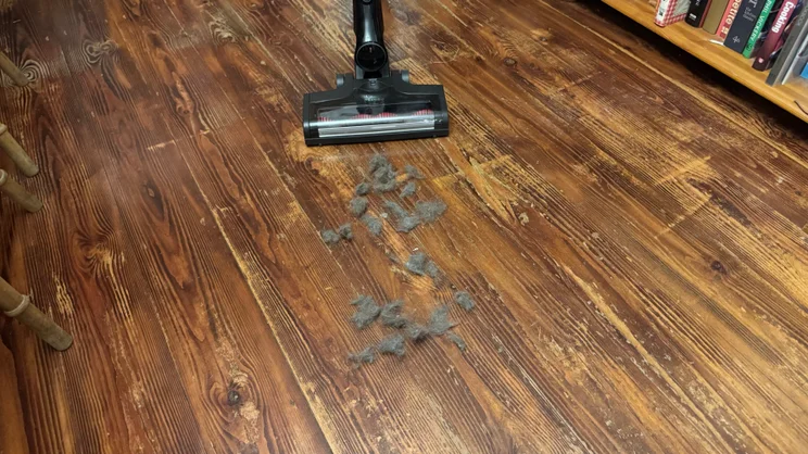 The Miele Triflex HX3 cleaning pet fur on hard floor
