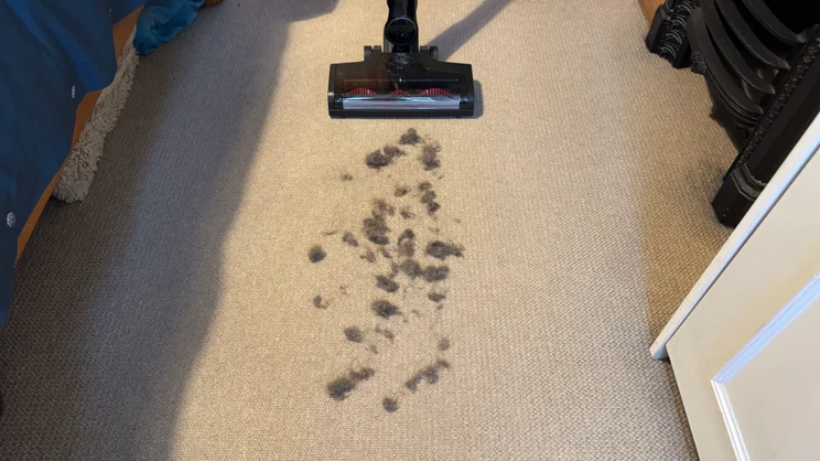 The Miele Triflex HX3, vacuuming pet hair