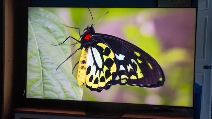 The Hisense UR8S RGB Mini LED TV displaying an image of a butterfly in Filmmaker Mode