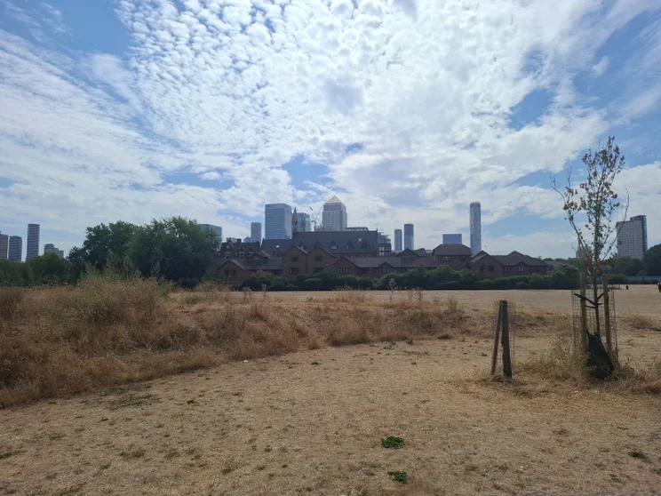 2x zoom of a field with buildings in the distance