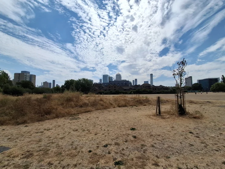 Wide-angle shot of a park with buildings in the distance