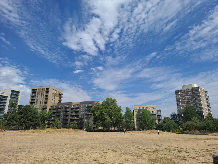 A park and flat blocks under a bright blue sky