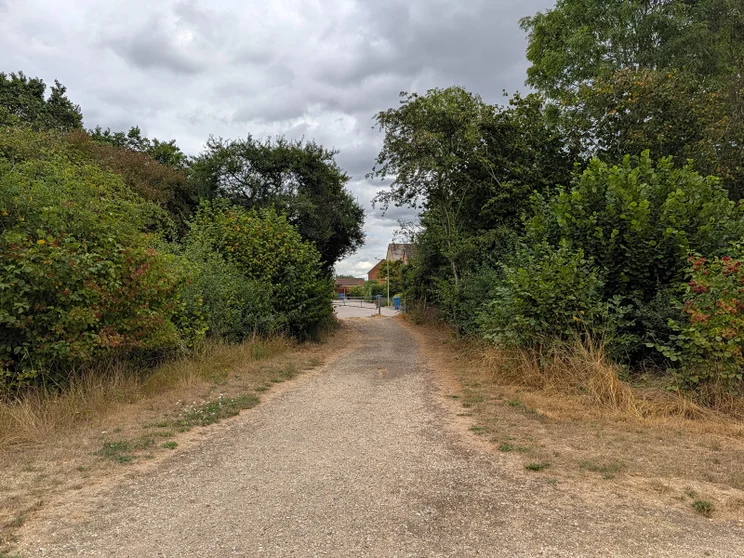 A path leading between two groups of trees