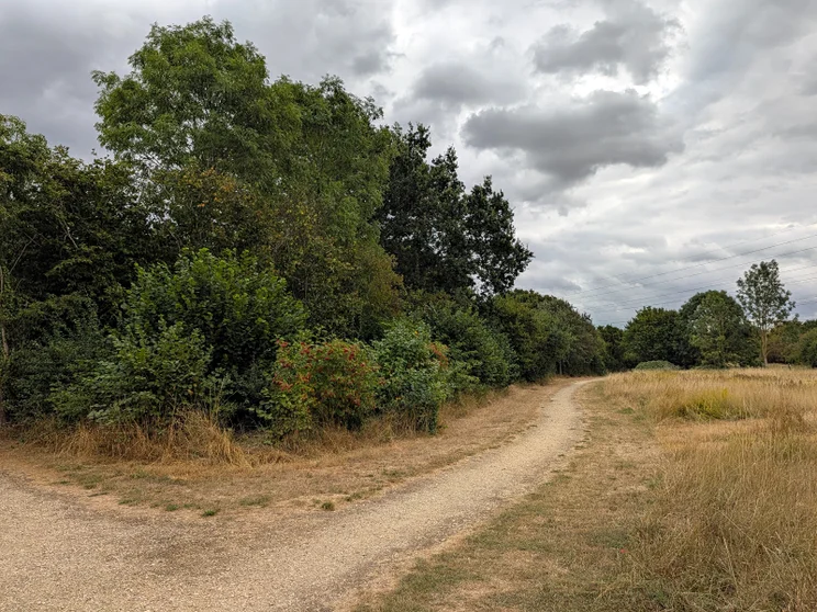 A path leading alongside a meadow, bordered by trees