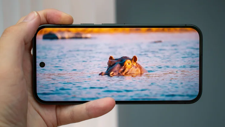 Google Pixel 11 displaying a nature video