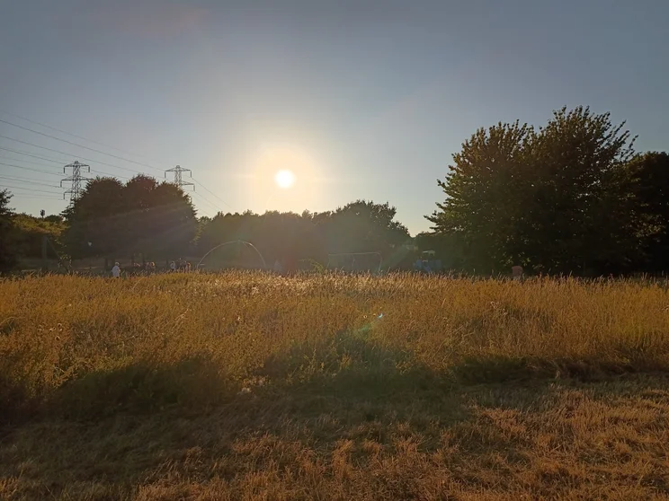 Low sun over a meadow with flares reflecting the partial solar eclipse