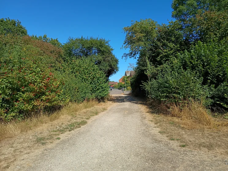 A path leading between two groups of trees