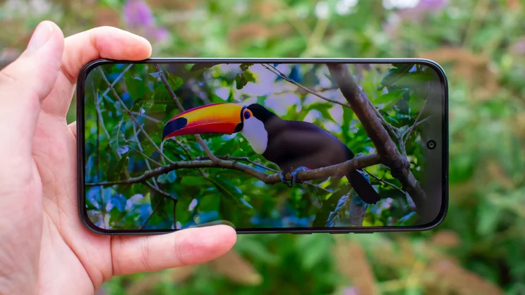 Motorola Moto G77 in hand, displaying a nature video