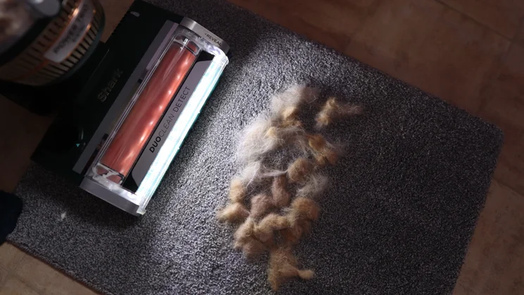 Shark PowerDetect Transformer cleaning pet fur on carpet