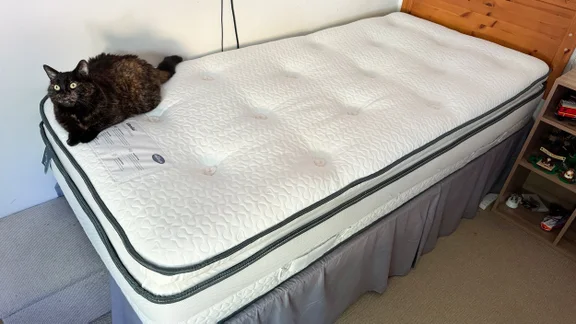 A cat sitting on the surface of the Silentnight UltraGel Miracoil Pillowtop mattress, in a bedroom