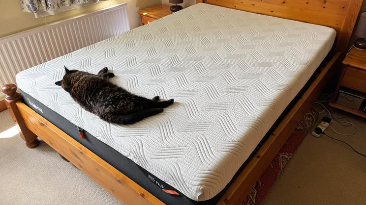 The Tempur Pro Plus SmartCool mattress on a wooden bed frame in a bedroom. A cat is lying at the foot of the bed