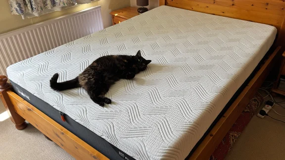 The Tempur Pro Plus SmartCool mattress on a wooden bed frame in a bedroom. A cat is lying at the foot of the bed