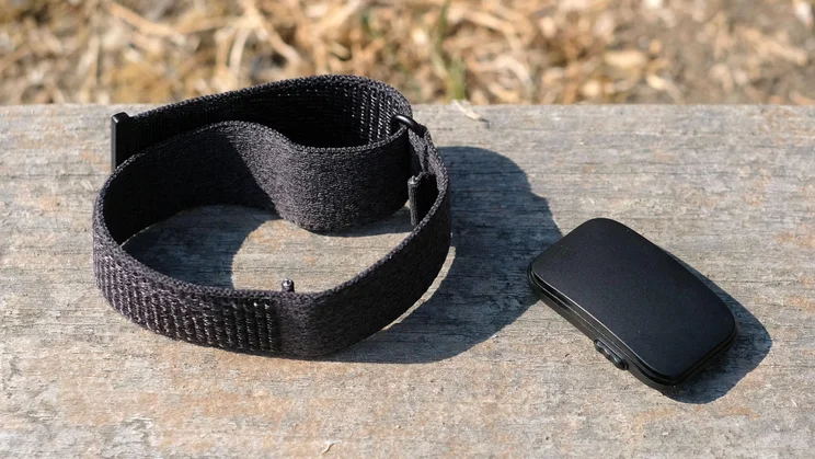The Garmin Cirqa tracker and its strap lying separately on a wooden bench