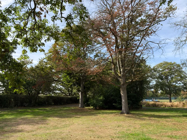 Apple iPhone 18 Pro Max camera main camera sample at f4