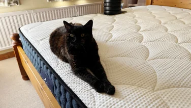 A dark cat lying on the end of the DreamCloud Hybrid mattress