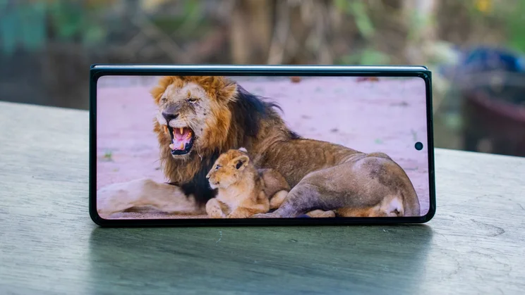 Motorola Razr Fold folded in tent mode, displaying a nature video