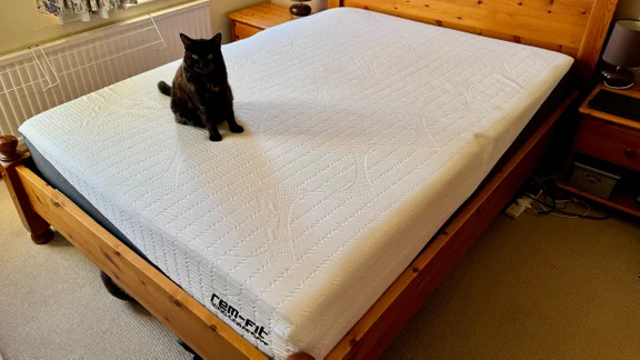 The REM-Fit Pocket 1000 Hybrid mattress on a wooden bed frame in a bedroom. A cat sits on top of the mattress