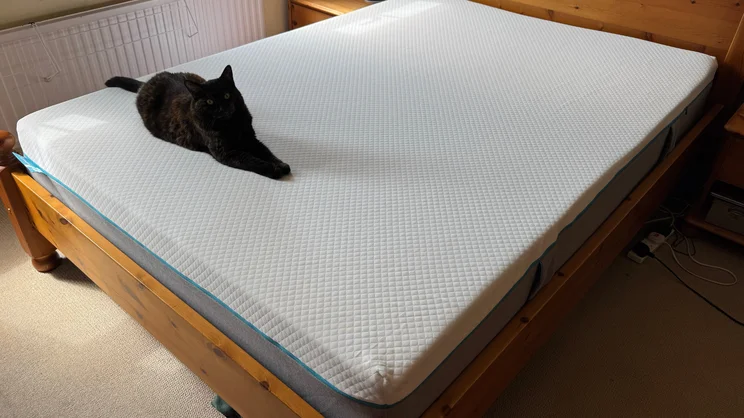 The Simba Simbatex Cool mattress on a wooden bedframe in a bedroom. A cat is sitting at the foot of the bed.
