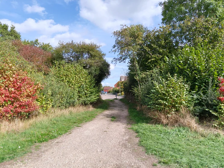 Path between two groups of trees