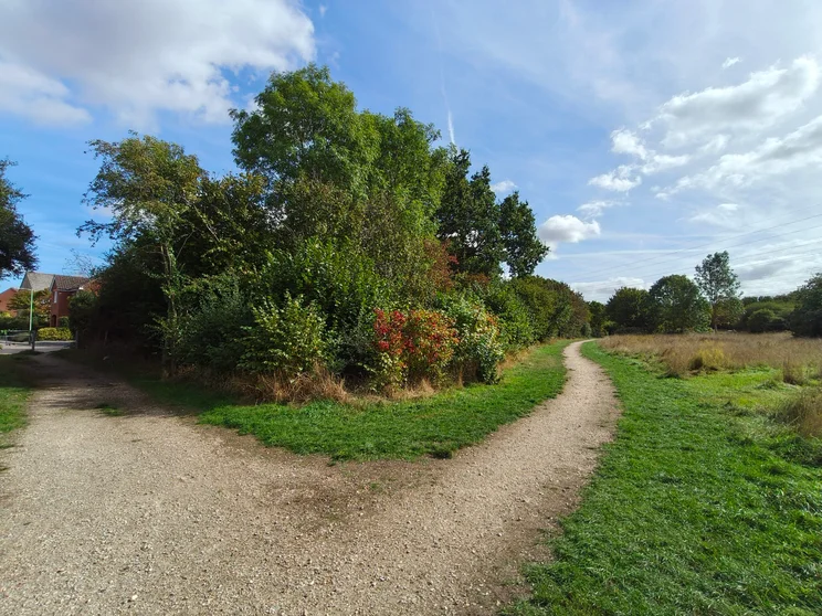 Wide angle shot of a meadow with a dirt path running alongside it
