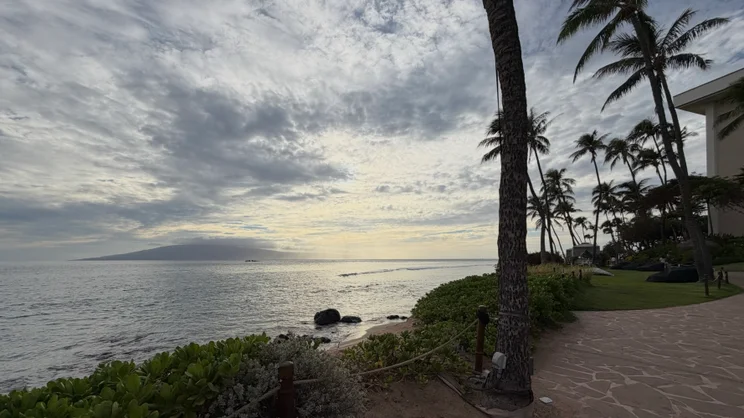 Cloudy sunset view over the ocean from a resort path lined with palm trees, with a distant island silhouette on the horizon
