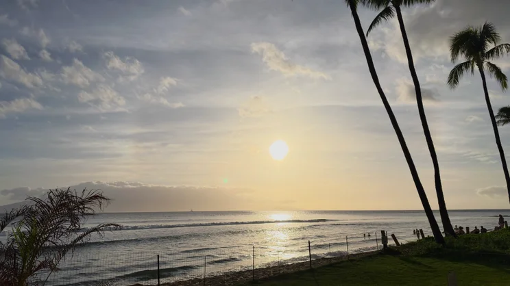 Hazy sun setting over the ocean horizon, framed by silhouetted palm trees and people walking along the shoreline