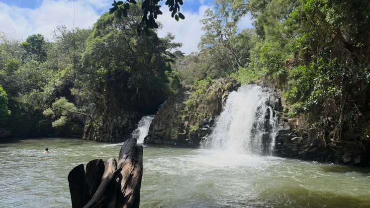 Twin waterfalls cascading into a river pool surrounded by lush forest, with a swimmer in the water and a weathered tree stump in the foreground