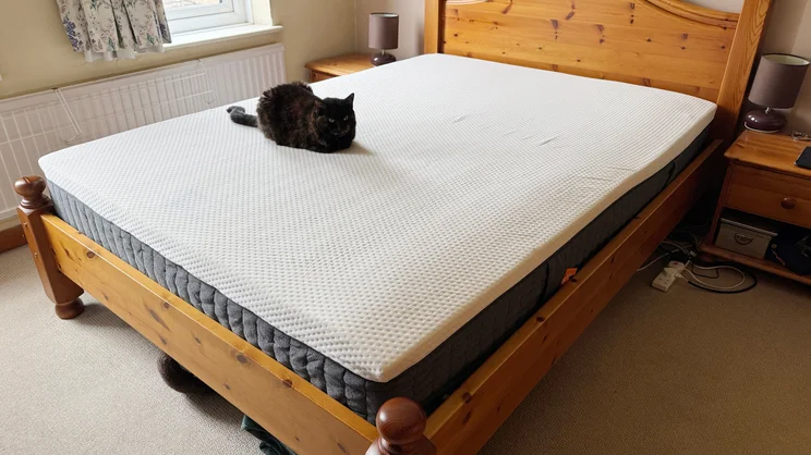 The Emma Original mattress on a wooden bed frame in a bedroom. A cat is sitting on top of the mattress