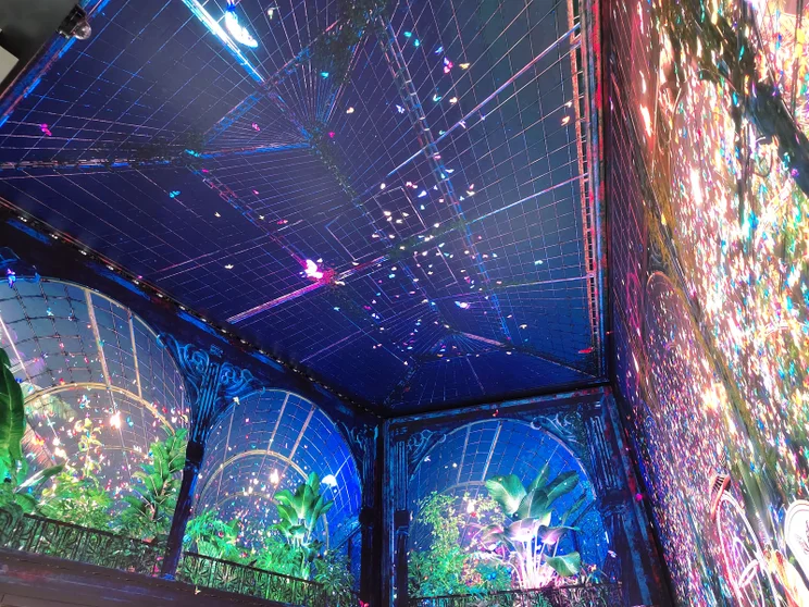 An indoor light experience that covers all walls and the ceiling