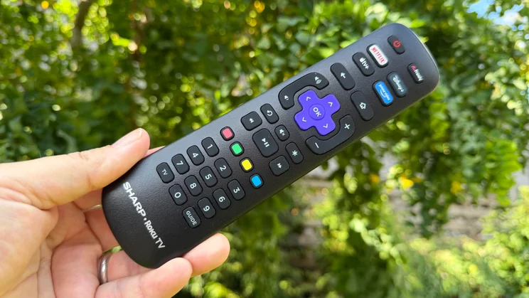 Hand holding the black remote control for the Sharp HJ6725KB Roku TV, featuring a purple directional pad, number buttons, and dedicated streaming shortcut keys
